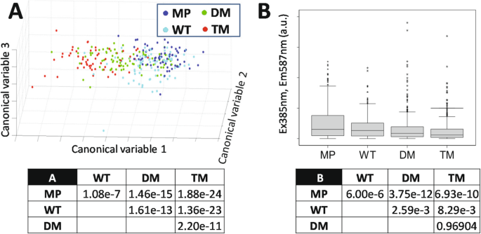 Fig1: 高光谱自发荧光揭示不同PGRMC1突变体的代谢差异