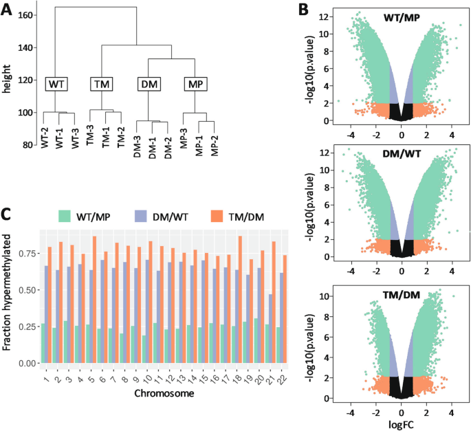 Fig7: PGRMC1突变体诱导不同的基因组甲基化模式