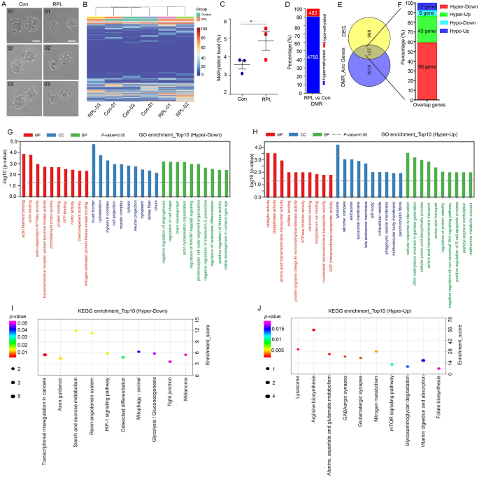 Fig6 甲基化组分析与转录组-甲基化组整合分析