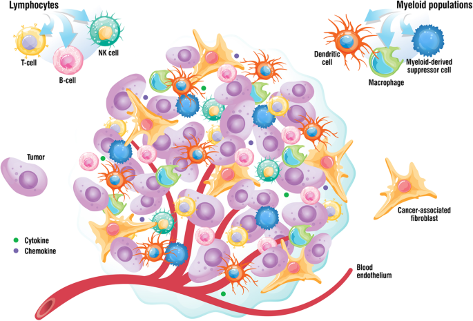 肿瘤微环境的主要组成成分