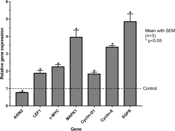 图6 Wnt与EGF通路标记物表达检测