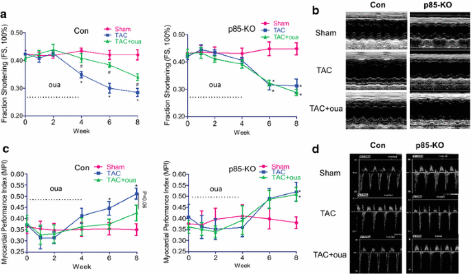 图6 哇巴因对TAC小鼠心脏功能的影响