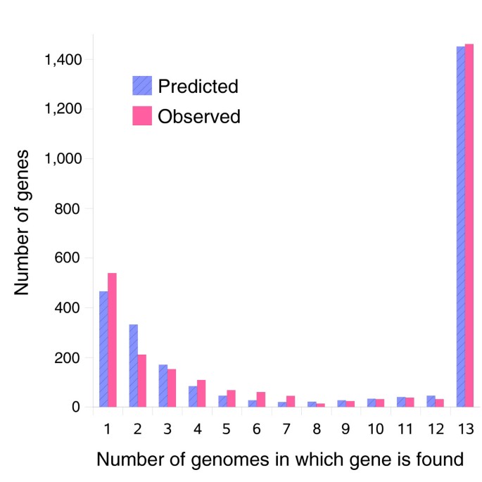 图2 基因簇在不同菌株中的分布直方图