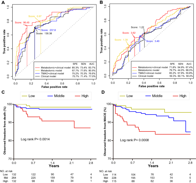 预测模型的ROC曲线与Kaplan-Meier曲线