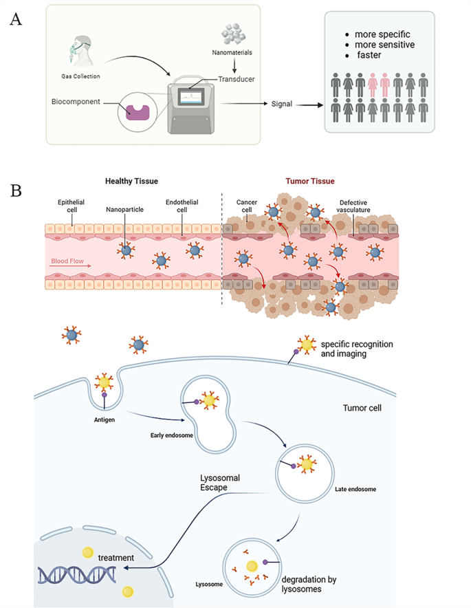 Fig.3 纳米技术在肺癌诊断中的研究与应用