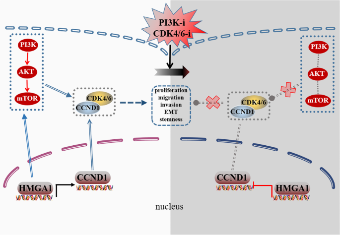 Fig.8 机制示意图