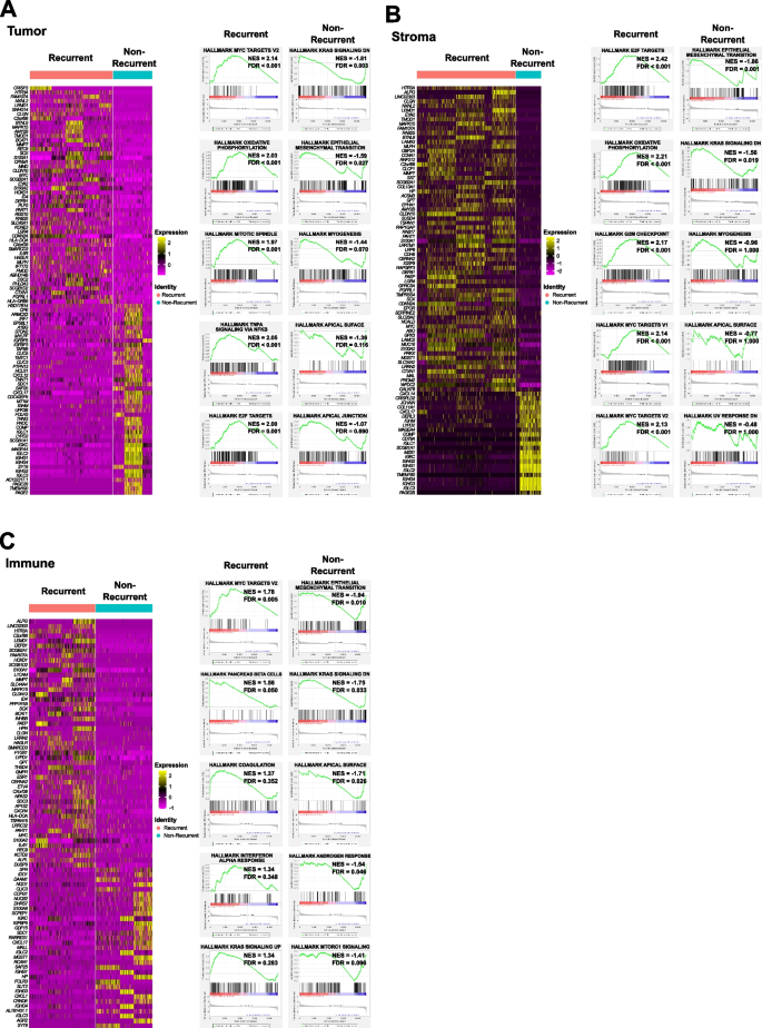 Fig.2 HGSOC复发与非复发组差异基因与通路分析