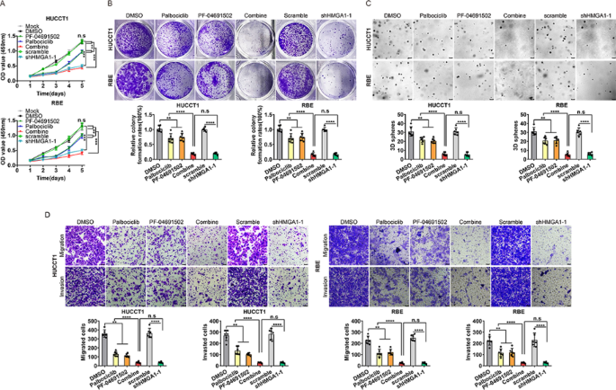 Fig.6 联合治疗对细胞功能的影响