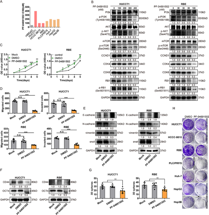 Fig.4 PI3K/mTOR抑制剂单药治疗的效果评估