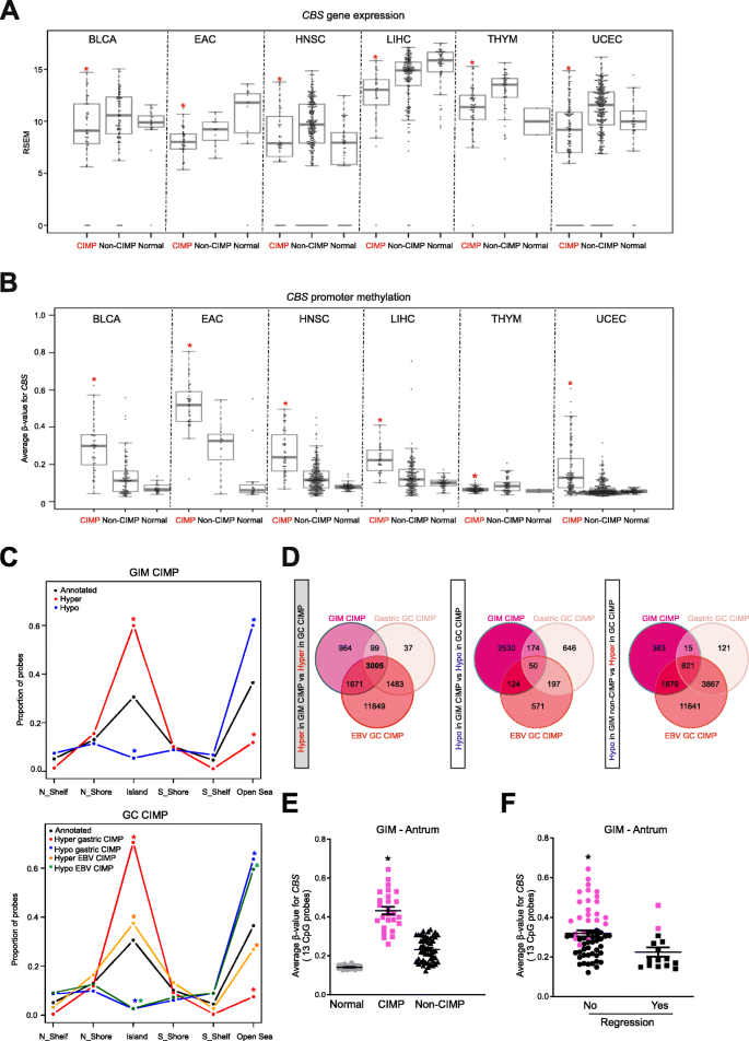 图3 泛癌及癌前病变中CBS表观突变与CIMP的关联
