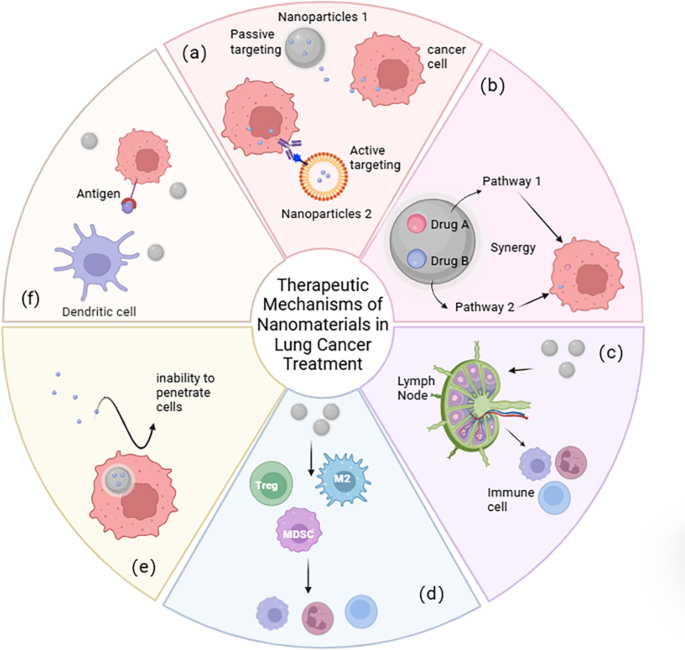 Fig.5 纳米材料在肺癌治疗中的作用机制