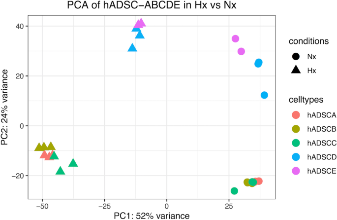 hADSC常氧与缺氧组转录组主成分分析图