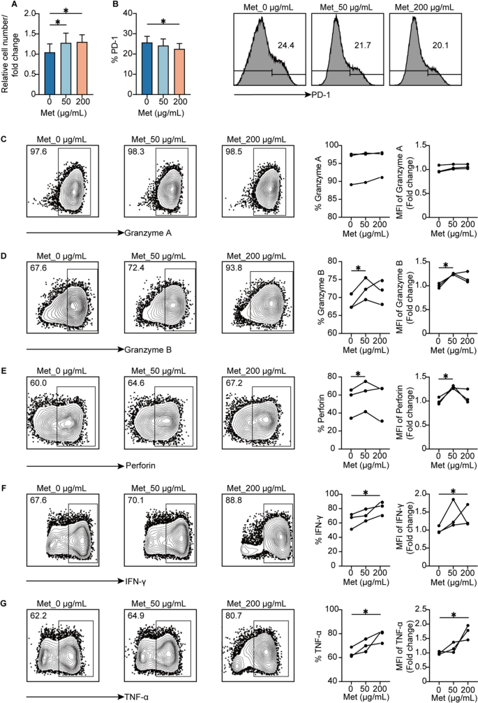 二甲双胍对γδ T细胞增殖及效应分子表达的影响