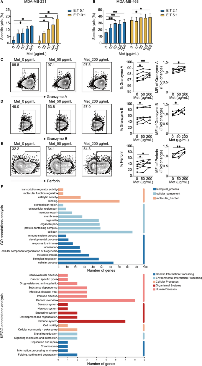 二甲双胍增强γδ T细胞介导的细胞毒活性及RNA-seq分析结果