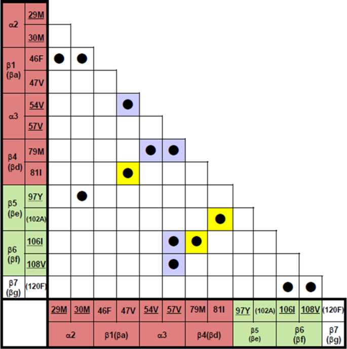 RNase A（6ETL）的保守疏水残基接触图