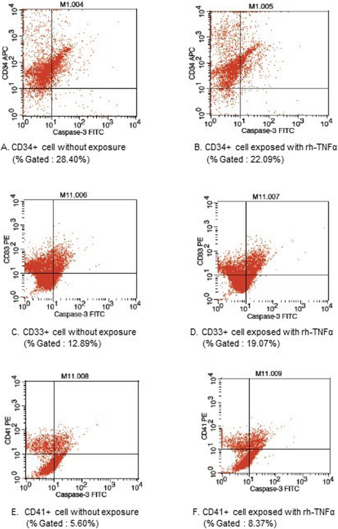 MDS骨髓单个核细胞caspase-3活性流式分析图