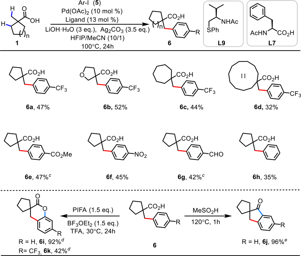 Table 4: β-甲基C-H芳基化底物范围与产物衍生化