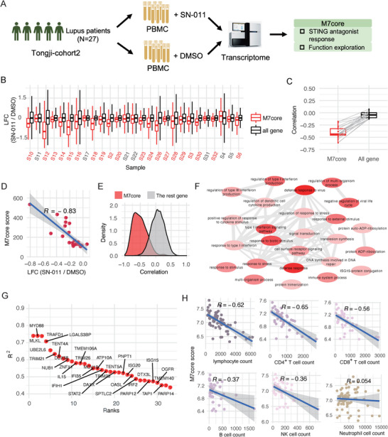 图4：STING拮抗剂可抑制SLE患者PBMCs中的M7core活性