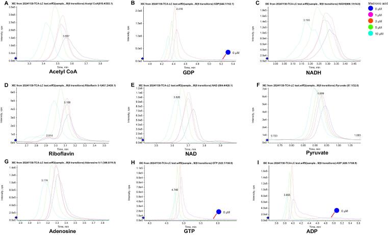 Fig. 2 不同medronic acid浓度下金属敏感代谢物的色谱图