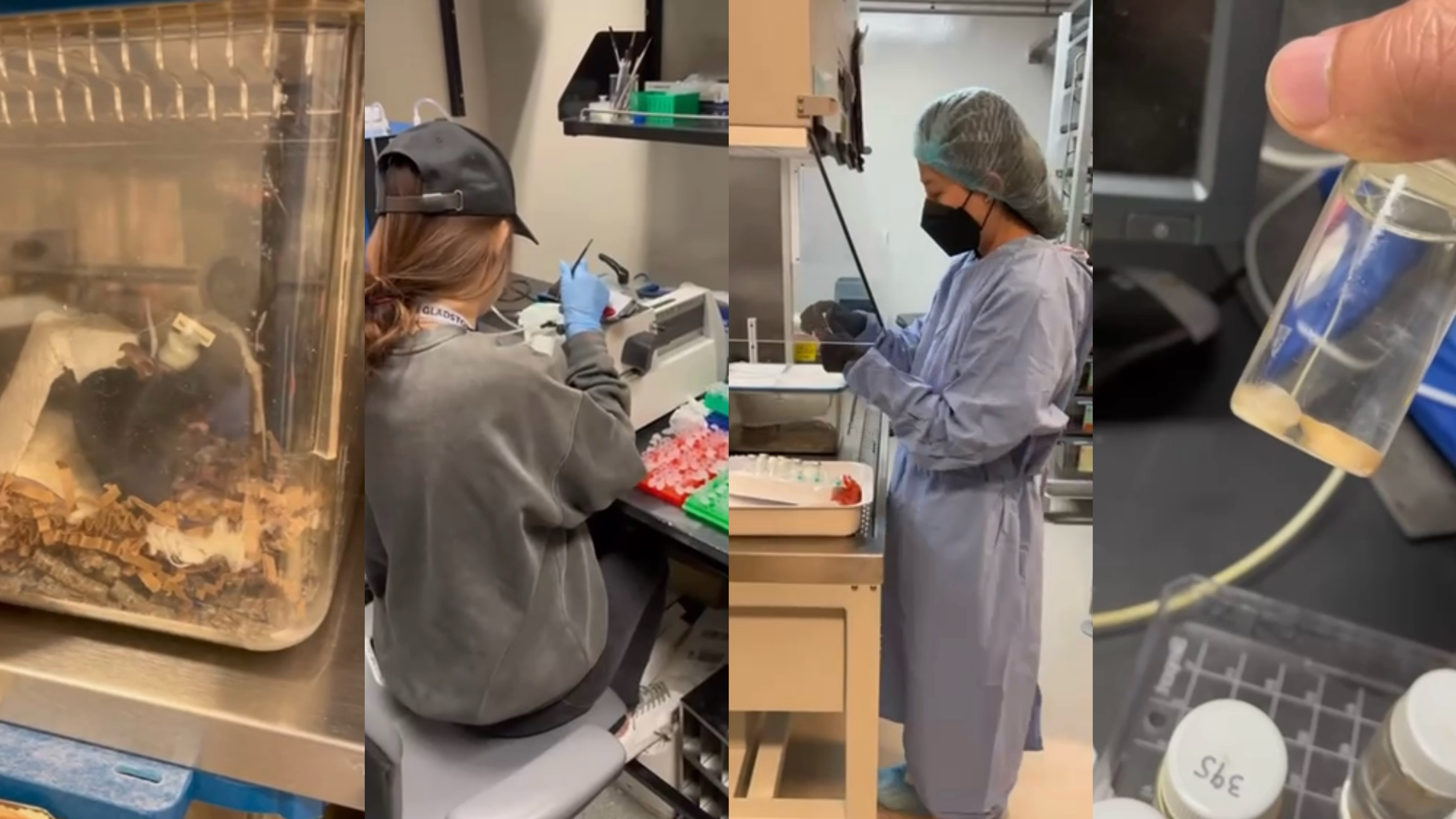 李亚乔在实验室