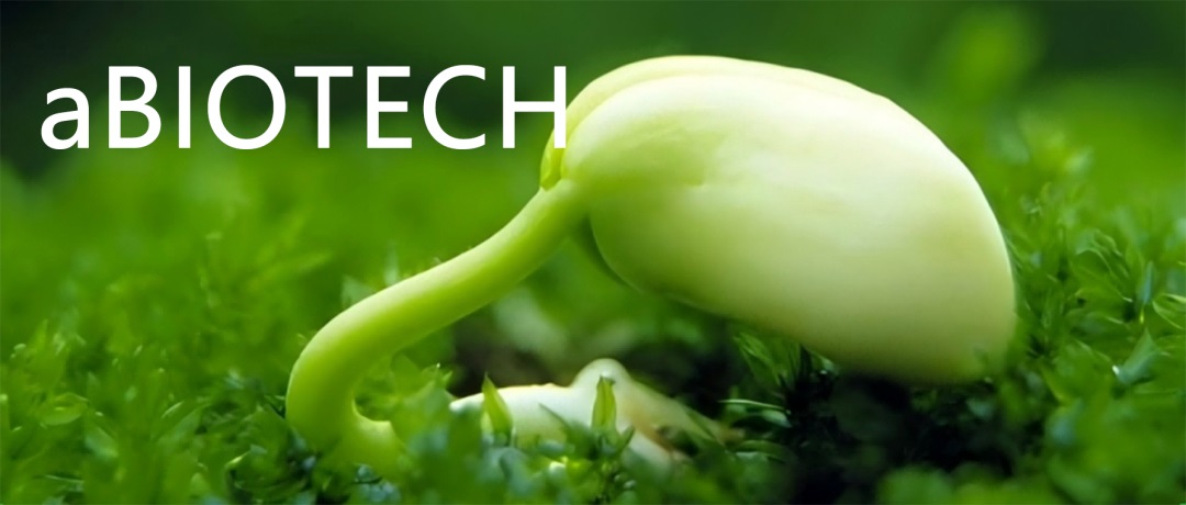 发芽的豆子。aBIOTECH供图