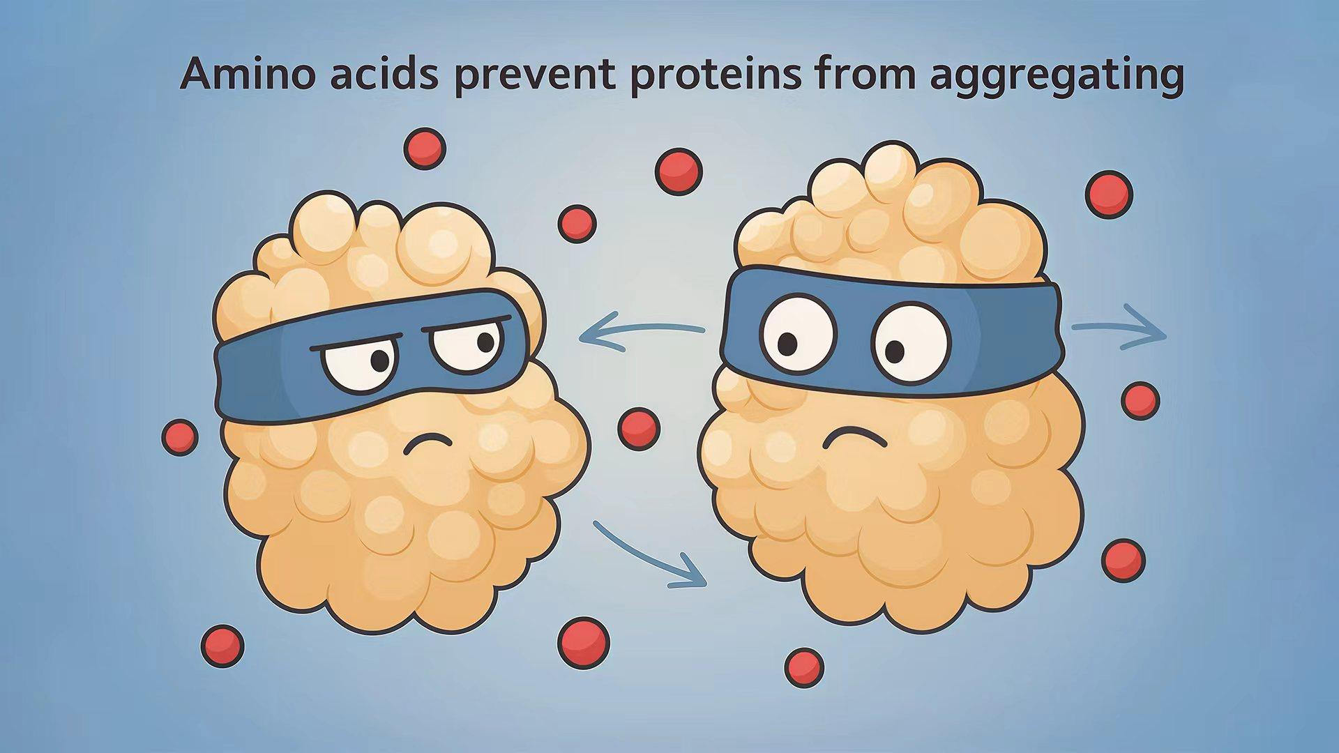 研究示意图。南科大供图