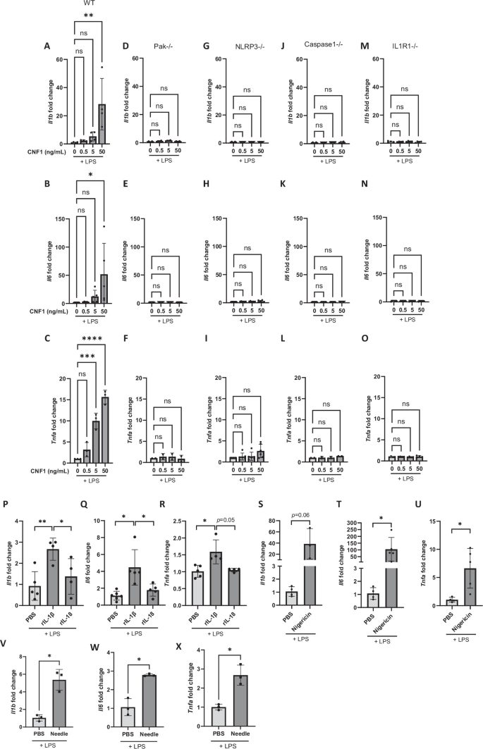 论文原文 Figure 2（图片来源：10.1038/s41467-026-78499-5）