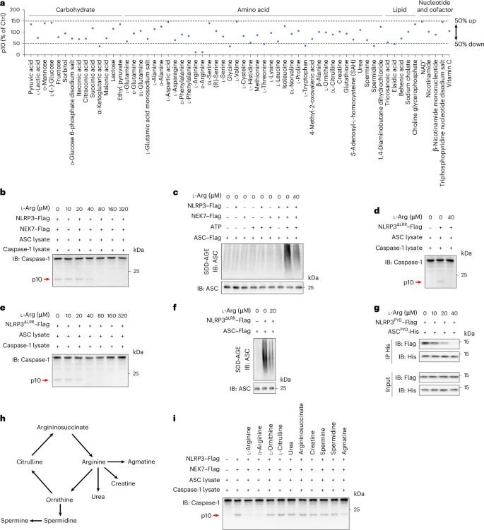 论文原文 Figure 1（图片来源：10.1038/s42255-026-01636-3）