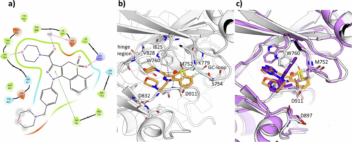 论文原文 Figure 1（图片来源：10.1038/s41467-026-77424-0）