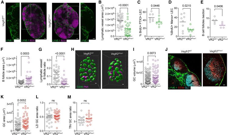 论文原文 Figure 2（图片来源：10.1016/j.immuni.2026.09.013）