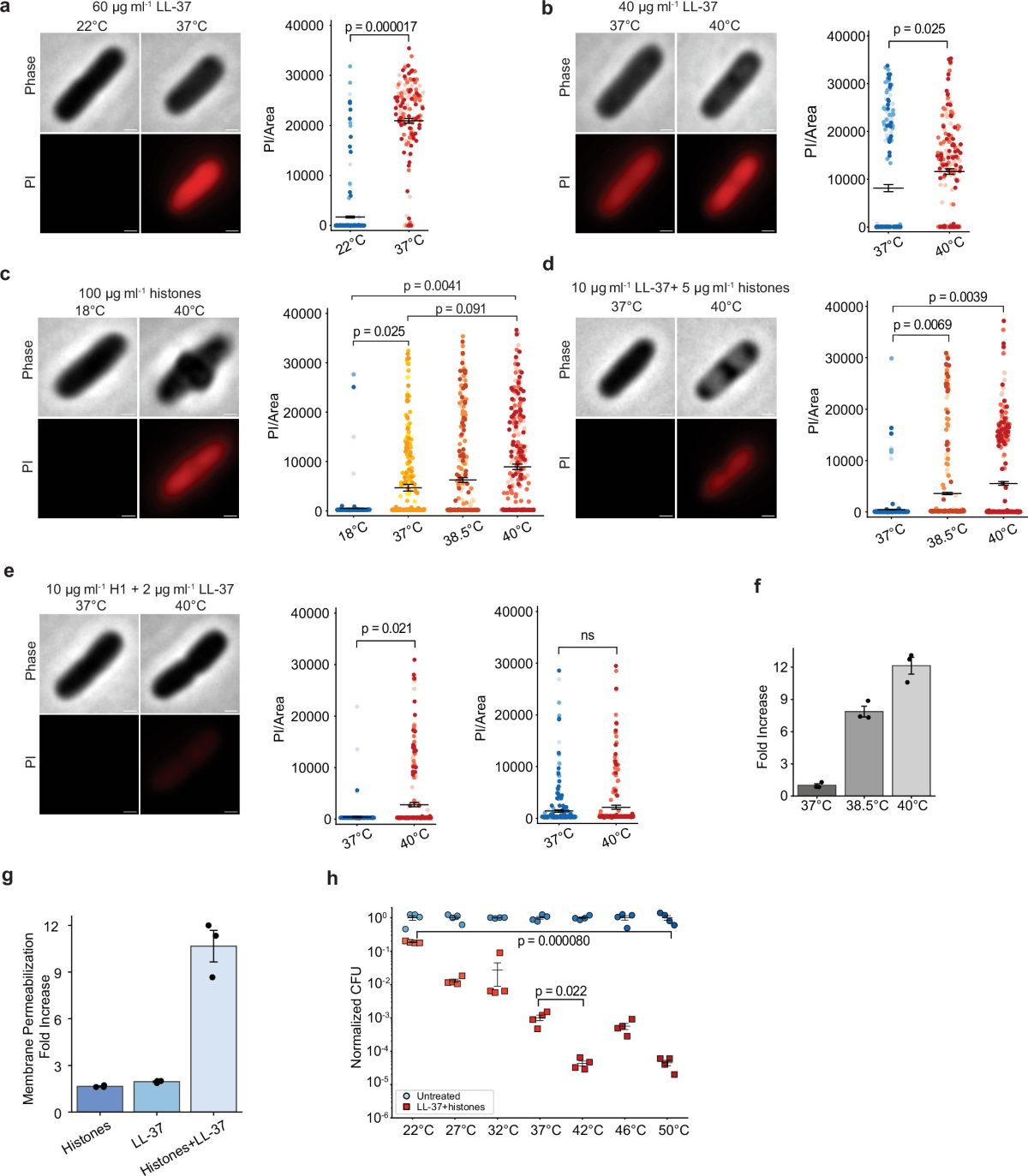 发烧的免疫学价值:抗菌肽温度调谐与线粒体保护机制,Nature Communications新研究解读