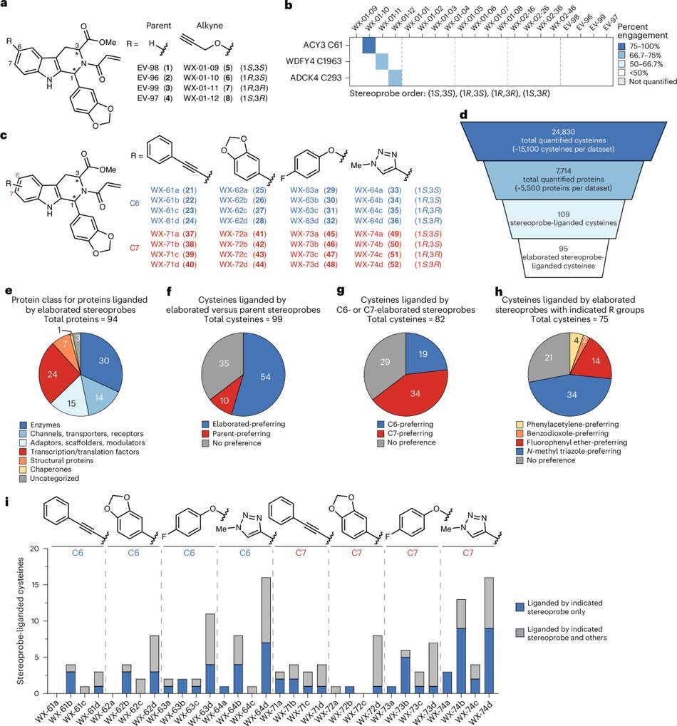 AI预测不到的药物靶点:立体探针拆散线粒体GRPEL1–HSPA9复合物(Nature Chemical Biology)