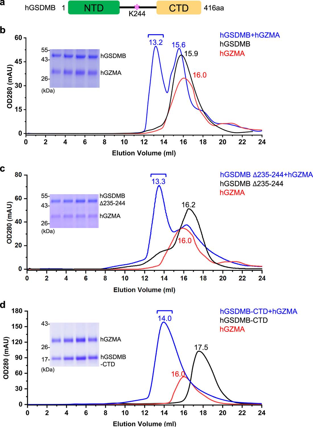 论文原文 Figure 1（图片来源：10.1038/s41467-026-78435-7）